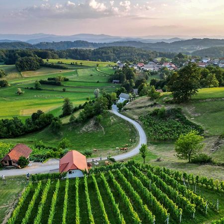 Vineyard Cottage Krivic Trebelno Екстер'єр фото
