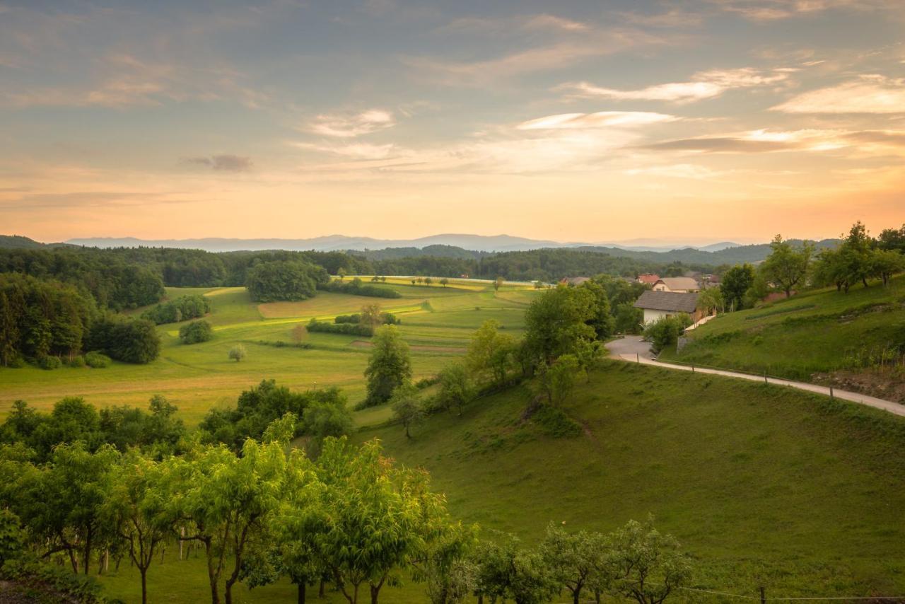 Vineyard Cottage Krivic Trebelno Екстер'єр фото