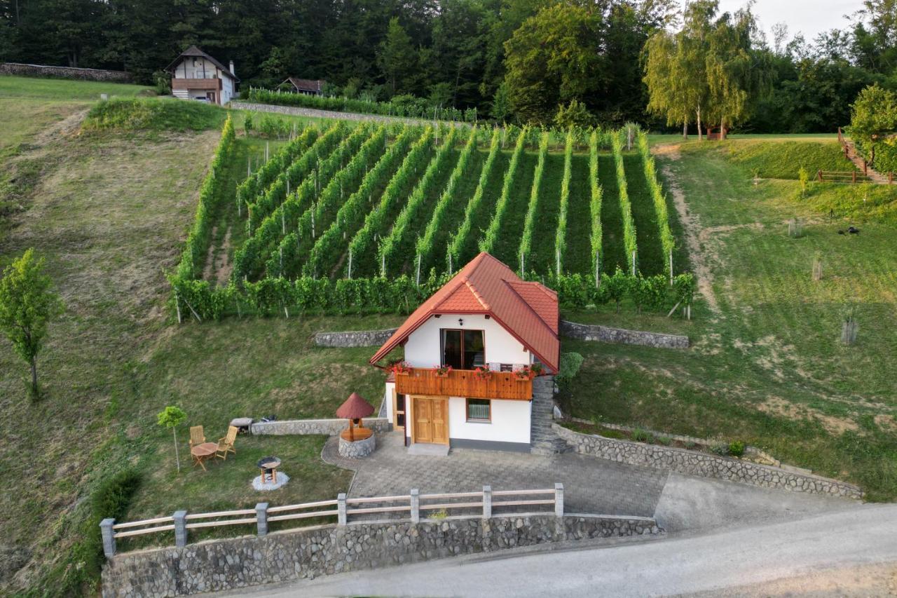 Vineyard Cottage Krivic Trebelno Екстер'єр фото