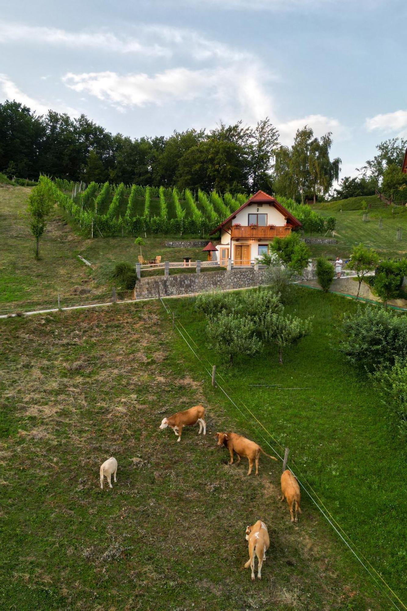 Vineyard Cottage Krivic Trebelno Екстер'єр фото