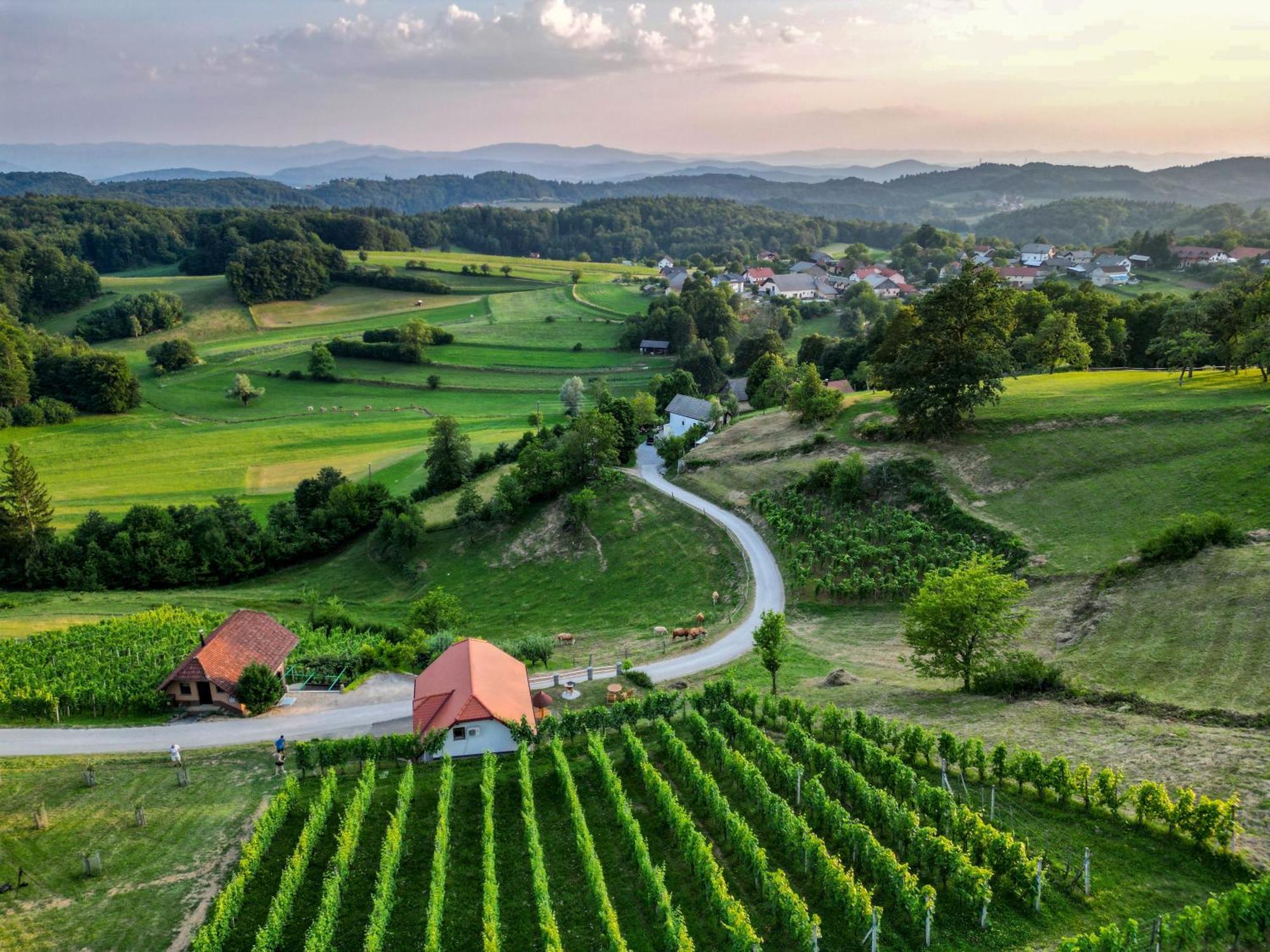 Vineyard Cottage Krivic Trebelno Екстер'єр фото