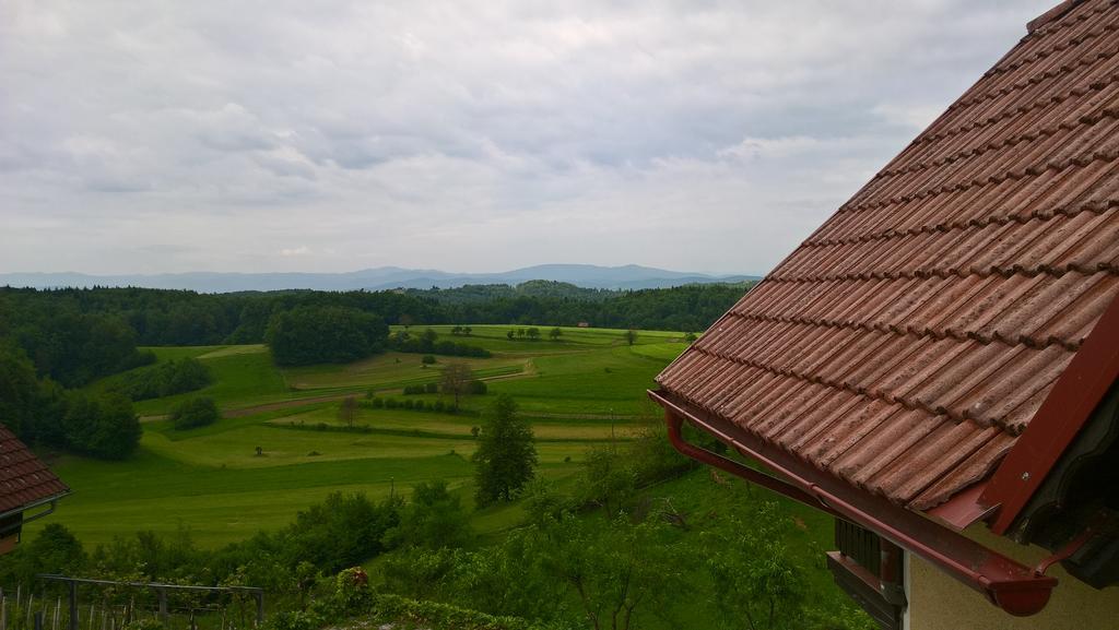 Vineyard Cottage Krivic Trebelno Екстер'єр фото