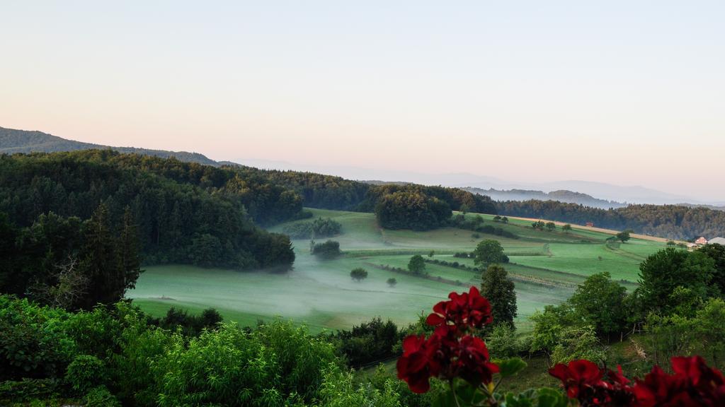 Vineyard Cottage Krivic Trebelno Екстер'єр фото
